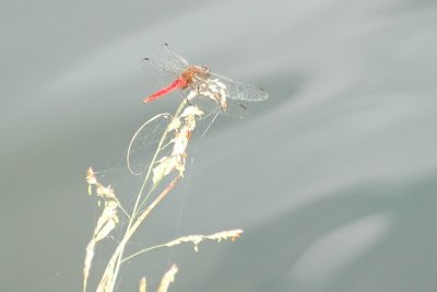 g6/63/778763/3/81606826.QxcHwYr0.jpg