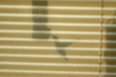 Hummingbird shade DSC_2223.jpg