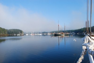 Fog Blowing In