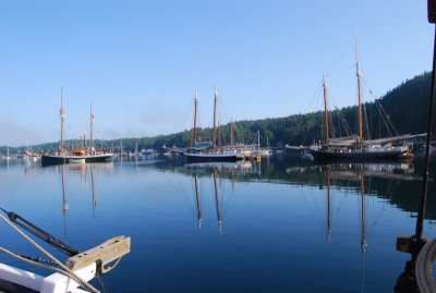 Bucks Harbor Reflecting