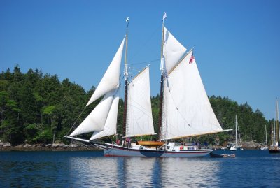 g6/63/792763/3/83539992.JsvOBWol.jpg