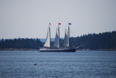 Victory Chimes Sailing into an Anchorage