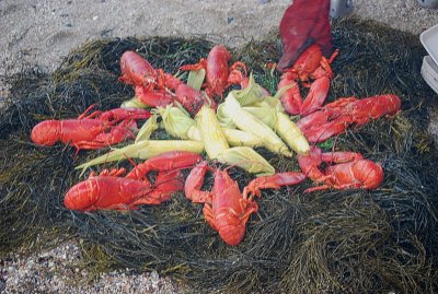 Lobsters Circling the Corn