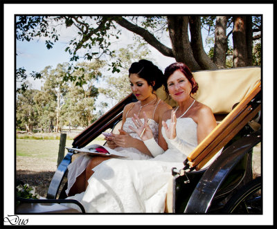 I Saw A Wedding!!!!!! Click to see the story behind about what I saw!