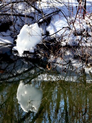 Snow Reflection