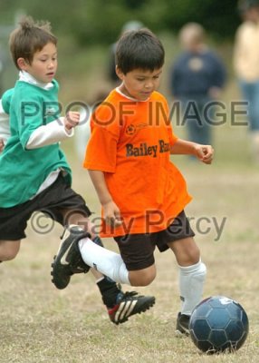 U8 Soccer