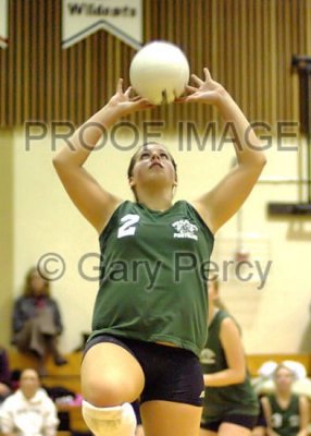 volleyball10_8963.jpg