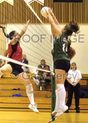 volleyball11_8964.jpg
