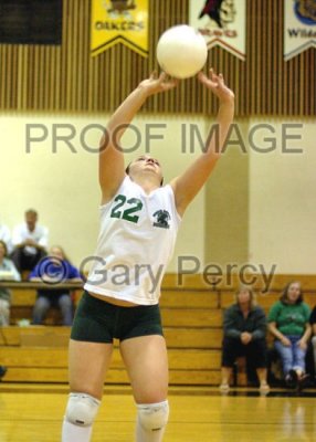 volleyball05_9204.jpg