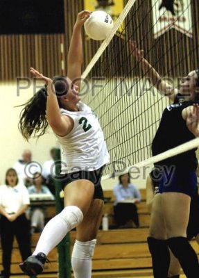 volleyball13_9290.jpg