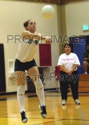 volleyball16_9336.jpg