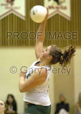 volleyball07_7763.jpg