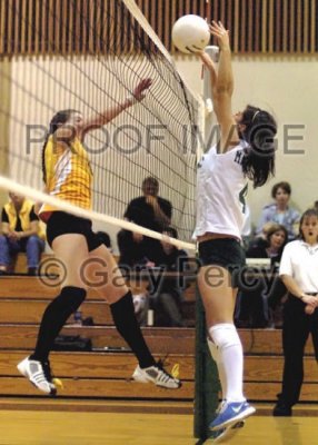 volleyball23_9941.jpg
