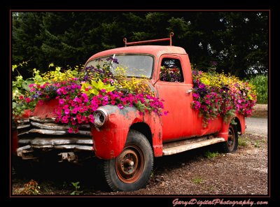 flower_truck03_5785.jpg