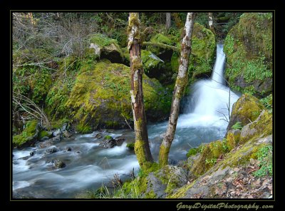 waterfall05_1731.jpg