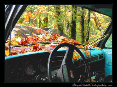 abandoned_car_8484.jpg