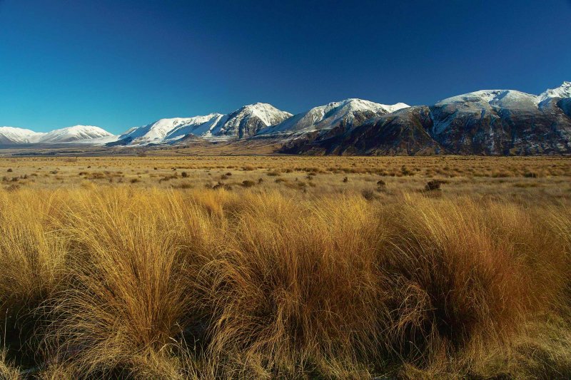 Upper Rangitata River