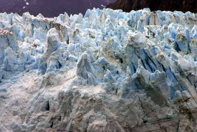Glacier Bay 5.jpg