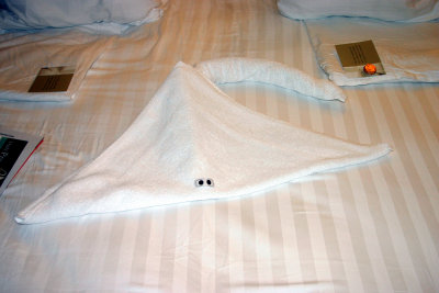 Towels2.jpg