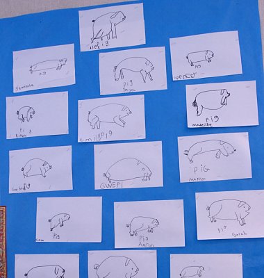 Alex drew the top pig.