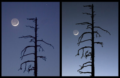 Crescent moon show repeats: 2004 and 2007