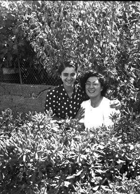 000-Neg-04.jpg