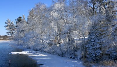 A winter day.....at -20F