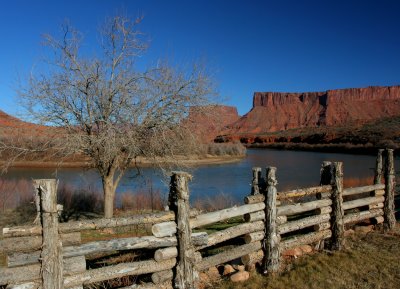 The Front Yard