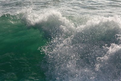 IMG_5896.jpg