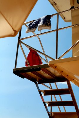 IMG_5755.jpg