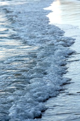 IMG_5691.jpg