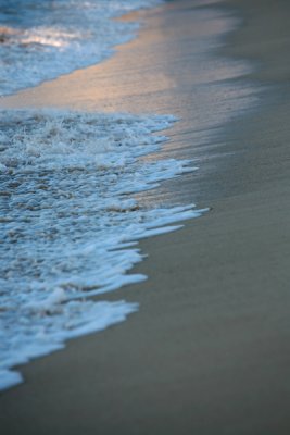 IMG_5684.jpg