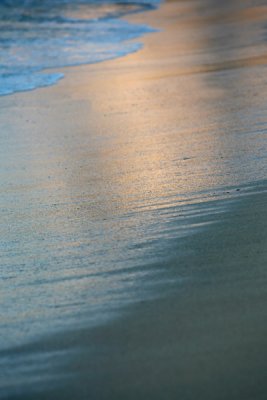 IMG_5683.jpg