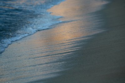 IMG_5682.jpg