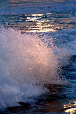 IMG_5665.jpg