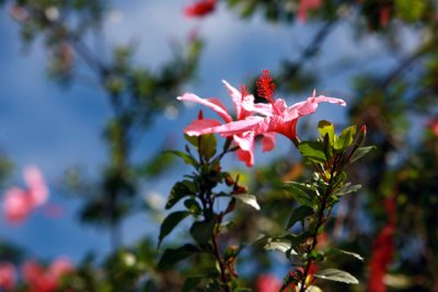 IMG_5993.jpg