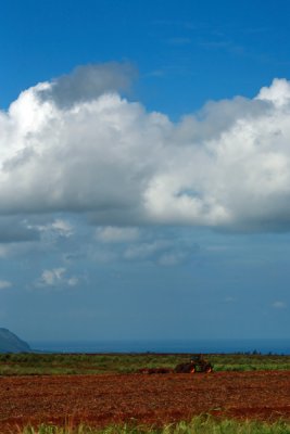 IMG_5979.jpg