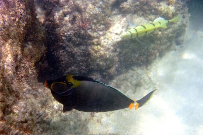 IMG_6431.jpg