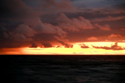 IMG_6376.jpg