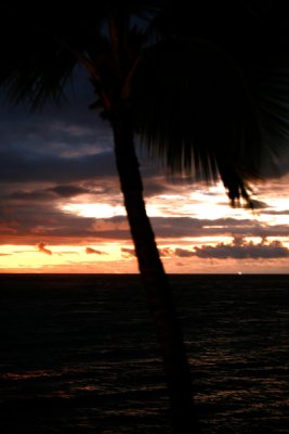 IMG_6372.jpg