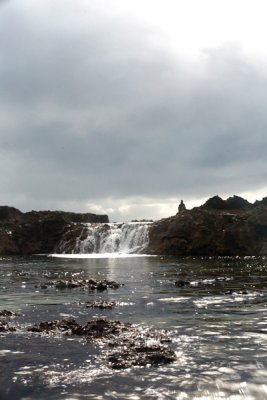 IMG_6328.jpg