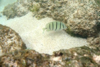 IMG_6318.jpg