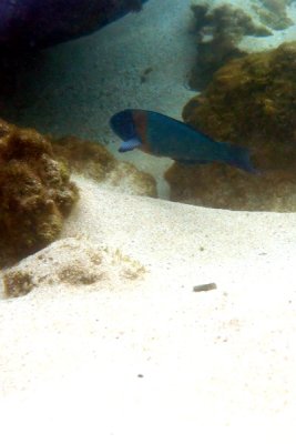 IMG_6316.jpg