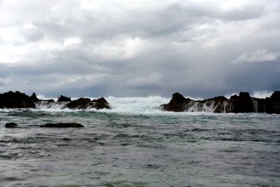 IMG_6311.jpg