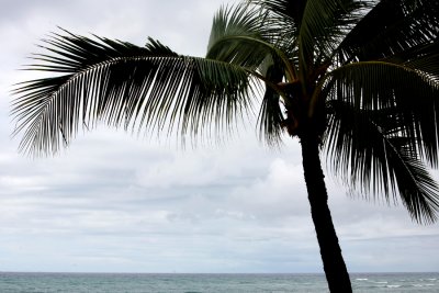 IMG_6248.jpg