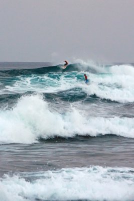 IMG_6241.jpg