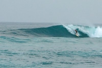 IMG_6229.jpg