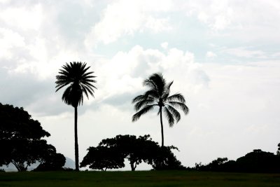 IMG_6206.jpg