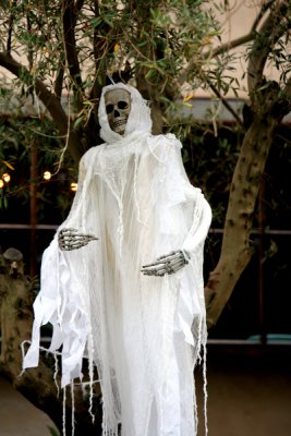 IMG_7259.jpg