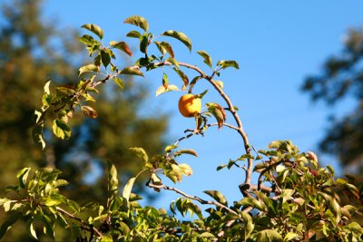 IMG_9466.jpg